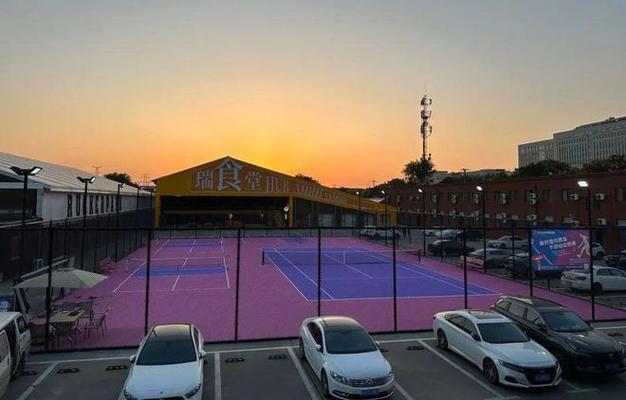 匹克球場(chǎng)地